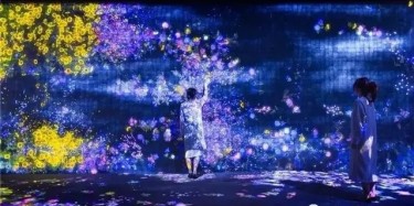 teamLab——風靡全球的沉浸式網紅展項體驗！