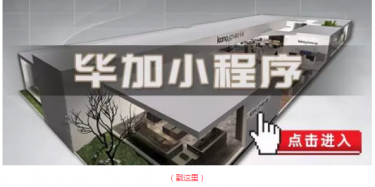 畢加邂逅小“情人”，那就再愛一次吧
