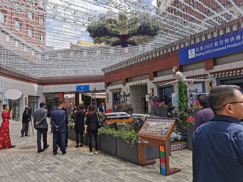 西藏花卉藝術節——主場節日設計搭建